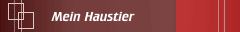 Mein Haustier
